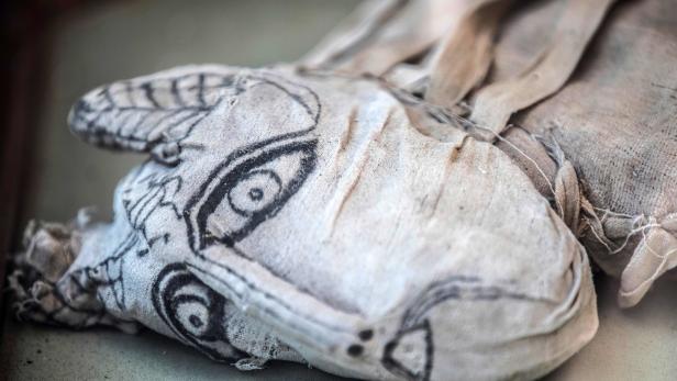 Löwenbaby-Mumien entdeckt: Wertvoller Fund in Totenstadt zu besichtigen