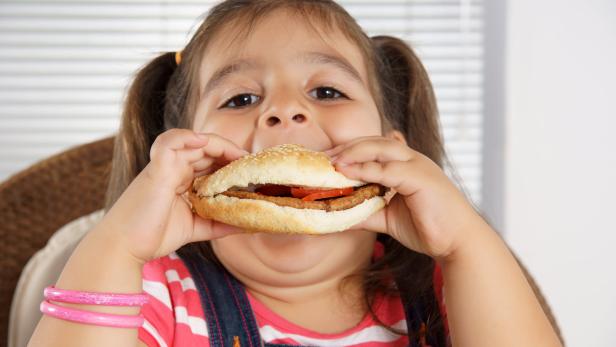 Wissenschafter fordern Werbeverbot für Fast-Food bei Kindern