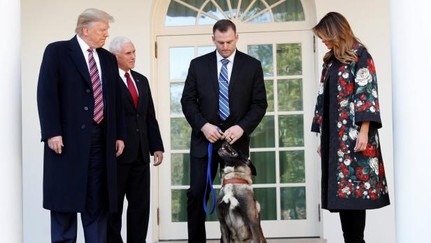"Amerikanischer Held": Trump ehrt Hund für Einsatz gegen IS-Chef