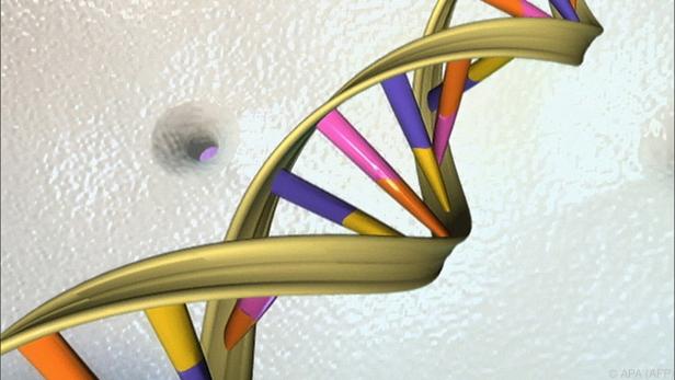 Mithilfe der Genschere lässt sich das menschliche Genom bearbeiten