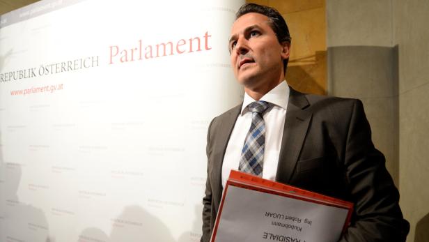 Ein Mann im Anzug steht vor einem Banner des österreichischen Parlaments.