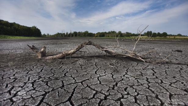 2.) Eine extreme Dürre von Juni bis September führt im mittleren Westen der USA zu Ernteausfällen.