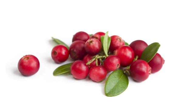 Cranberries: Wie die Beere Ihre Gedächtnisleistung verbessert
