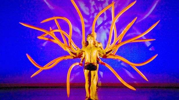 Farbenfroher Bühnenzauber: Die Zugabennummer bei der Tanzshow &quot;Momix Botanica&quot;