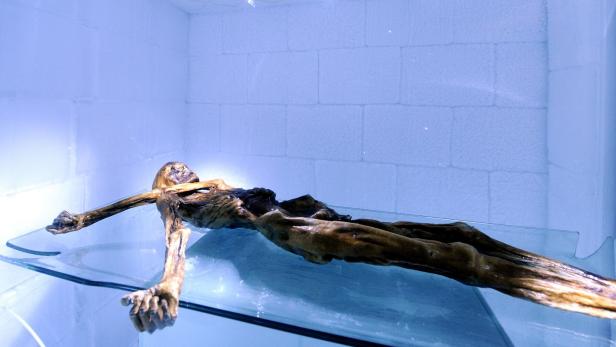 Bild aus 2011: Die mumifizierte Leiche des Ötzi in der Kühlkammer im Rahmen der Ausstellung &quot;20 Jahre Ötzi&quot; im Südtiroler Archäologiemuseum in Bozen.
