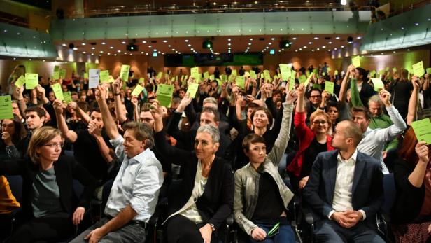 Kogler: "Die Grünen leisten Pionierarbeit"
