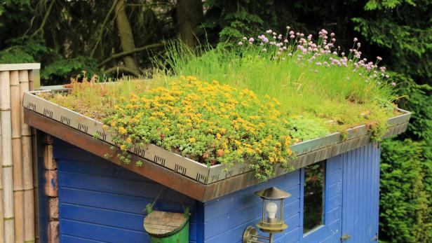 Auf der kleinsten Hütte ist Platz für Grünes am Dach – wie etwa Schnittlauch