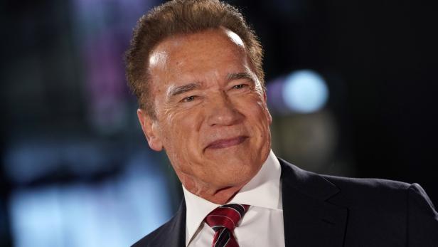 Schwarzenegger spendet eine Million für medizinische Ausrüstung