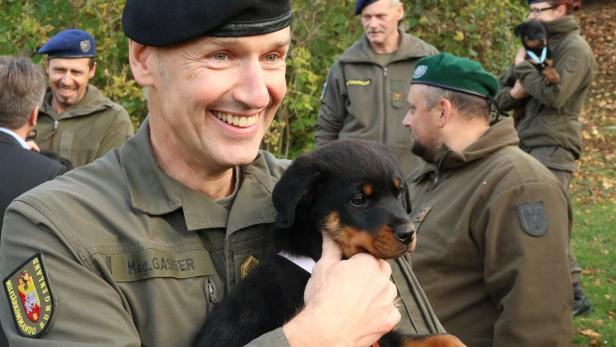 Bundesheer: „Reformen zu schnell und oft“