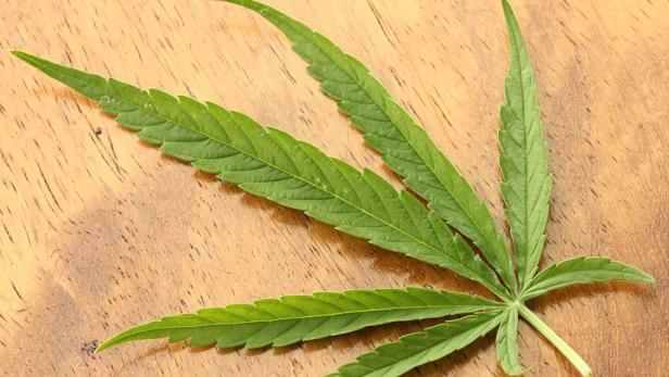 Bewährungshelfer für Cannabis-Legalisierung