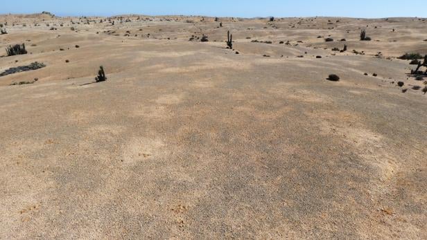 Die unwirtliche Landschaft ist Lebensraum für Flechten, Algen und Pilze.