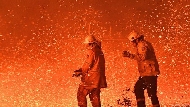 Australien: Die Feuerwehr hat den größten Buschbrand unter Kontrolle