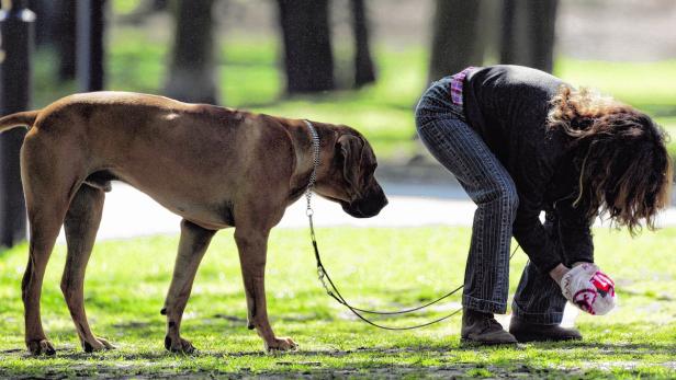 So ist es nicht immer: Vorbildliche Hundehalterin mit Sackerl