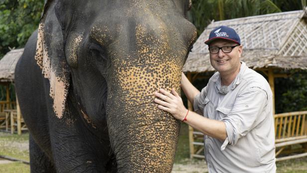 Das Elefanten-Abenteuer im Dschungel von Thailand