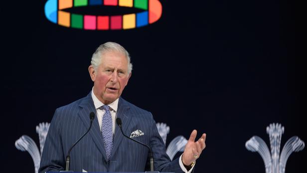 Prinz Charles: Dieses Jahr muss Wende bei Klimapolitik bringen