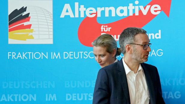 Kickl auf Stippvisite in Berlin: Die Krise im Nacken