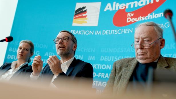 Joint press conference of German AfD and Austrian FPOe politicians in Berlin