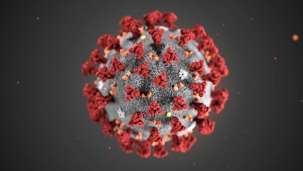 Coronavirus: Verdachtsfälle bisher negativ