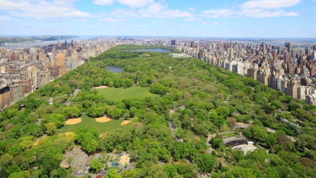 Die Stadt bezahlte 5 Millionen Dollar für das Stück Land, das heute der Central Park ist. Heute ist es mehr als 530 Milliarden Dollar wert.