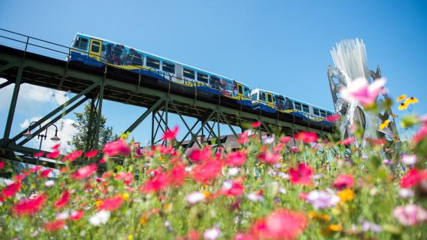 Citybahn Waidhofen: Einsteigen und Stadt erfahren