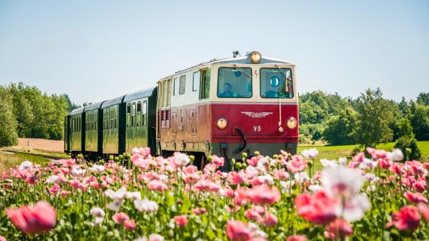 Waldviertelbahn: Bahnerlebnis und Entdeckertour