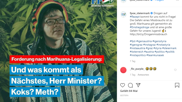 FPÖ Steiermark verhöhnt Anschober mit Cannabis-Bild