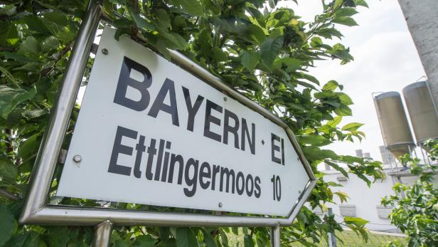 Ein Wegweiser zeigt nach Bayern und Ettlingermoos 10.
