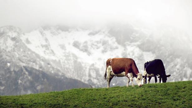 EU-Budget: Österreich kämpft um Förderungen