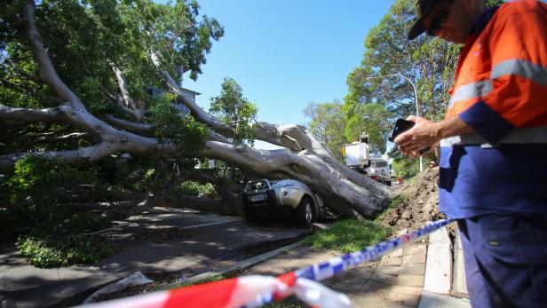Der Sturm sorgte in Sydney für große Schäden.