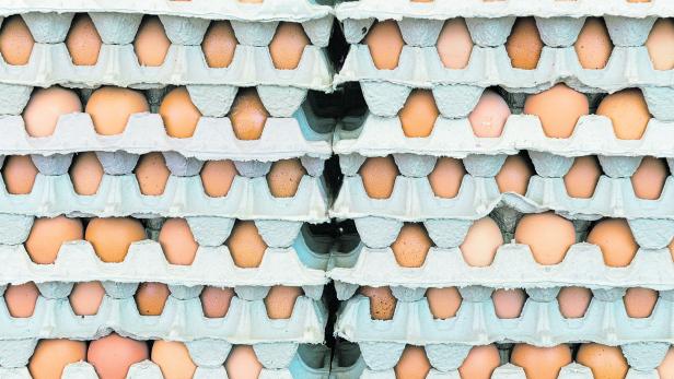 Alarmstimmung bei Politikern nach Vorwürfen gegen eierverarbeitenden Lebensmittelbetrieb