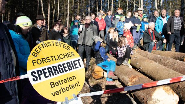 Waldbesetzung: Demonstranten verhindern erneut 380-KV-Rodungen