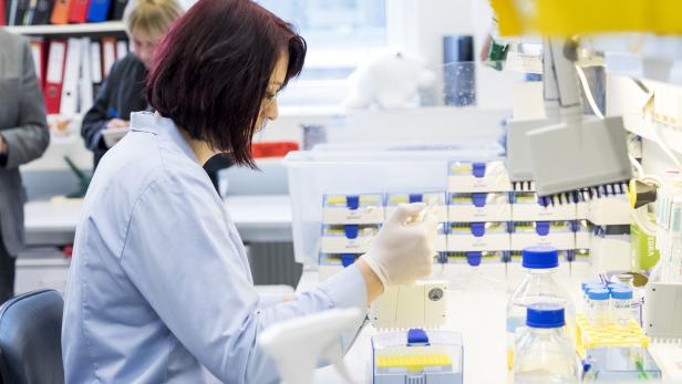 Labor in der Firma Apeiron in Wien: Hier wird das Medikament gegen das neue Coronavirus entwickelt.