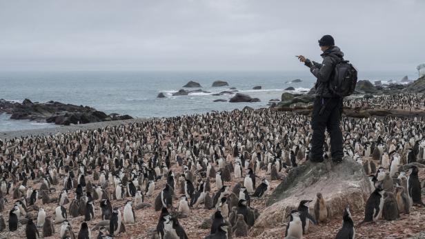 Touristen-Ansturm auf den Südpol