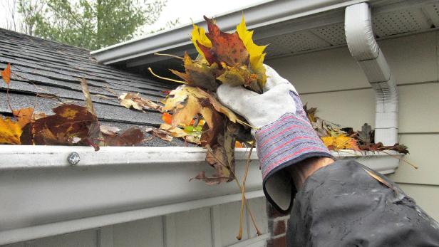 Nature, " Clearing Autumn Leaves from Gutters "