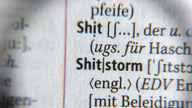 Shitstorm ist der Ausdruck für einen Entrüstungssturm in einem Internetmedium.