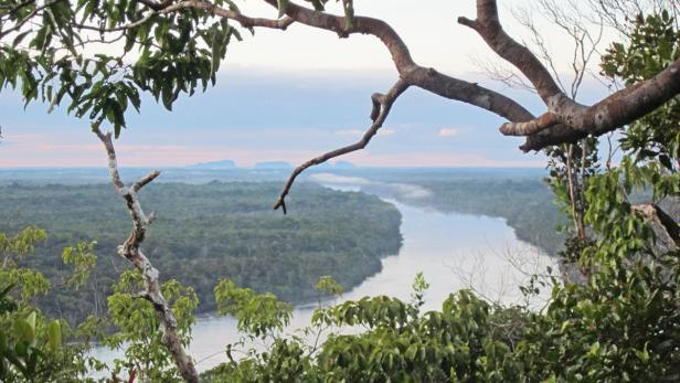 Mächtiger Nebenfluss des Amazonas: Der Rio Negro, auf deutsch: Schwarzer Fluss.