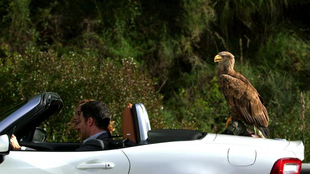 Fiat-Werbeclip: Ein Seeadler führt die Kamera und Wyclef Jean macht die Musik