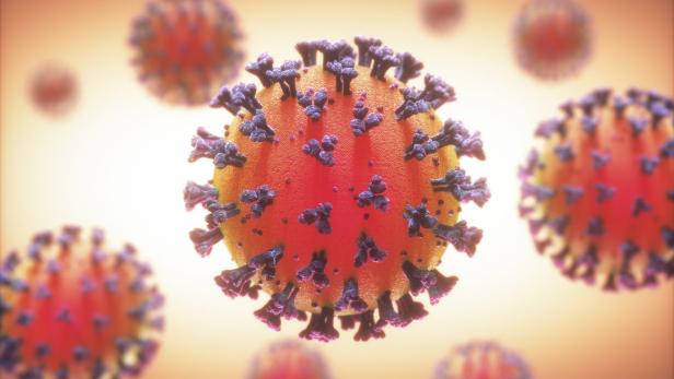 Coronavirus: Vier weitere Todesfälle in Österreich