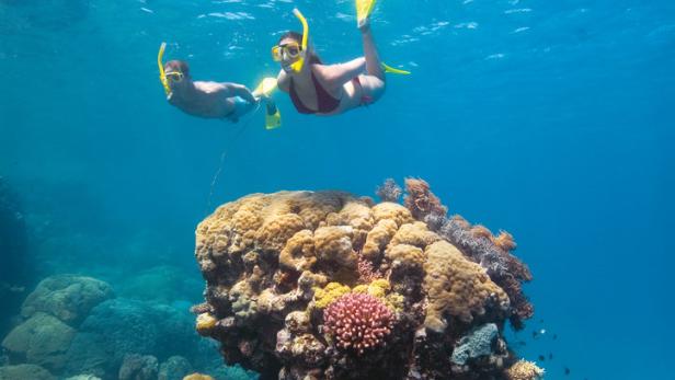 Das Great Barrier Reef erstreckt sich über 2.300 Kilometer.