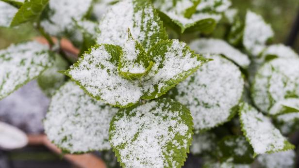 Zur Wochenmitte wird es spätwinterlich