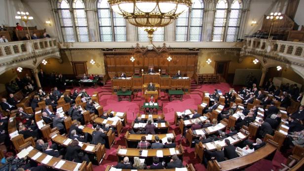 Die Causa Rothschild wurde im Wiener Landtag debattiert.