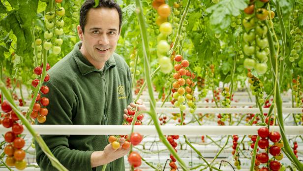Gärtner Stefan Bauer ist Herr einer Riesen-Tomatenplantage. Er macht auch Ketchup