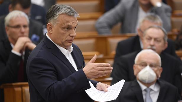 "Orbán nutzt den Kampf gegen das Coronavirus als Fassade"