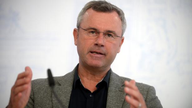 Hofer will nach Krise "Österreich-Konvent" neu beleben