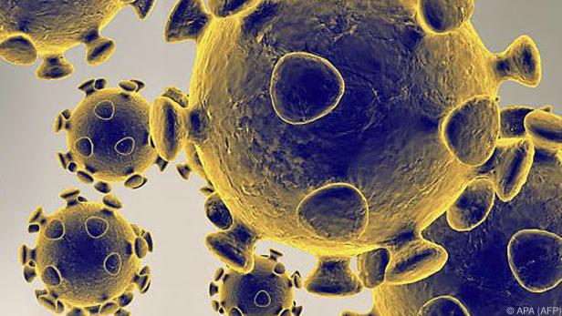 Das Covid-19-Virus hält die Welt in Atem