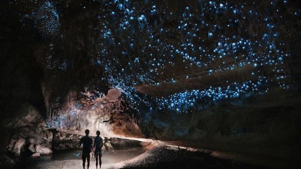 Neuseeland: Eine Glühwürmchen-Galaxie unter der Erde