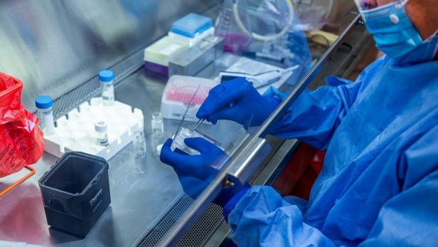 Coronavirus: Russische Forscher wollen ab Juni Impfstoffe testen