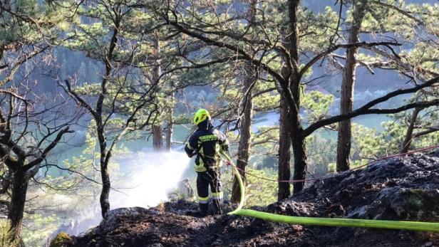 Großeinsatz bei Waldbrand in der Gemeinde Ternitz