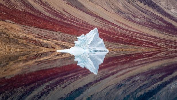 Einsamer Eisberg, tote Fische: Die Sieger des World Photography Awards