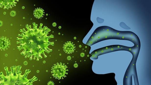 Influenza-Viren beim Eindringen in den Körper.